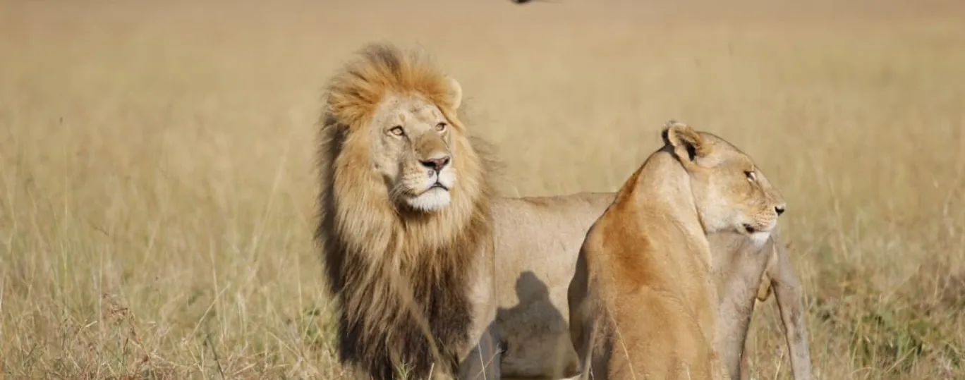 Kenya