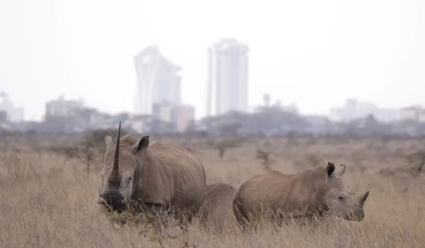 Kenya