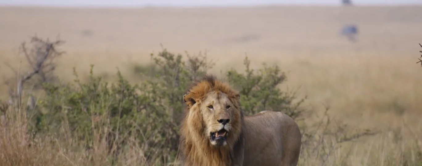 Tanzania