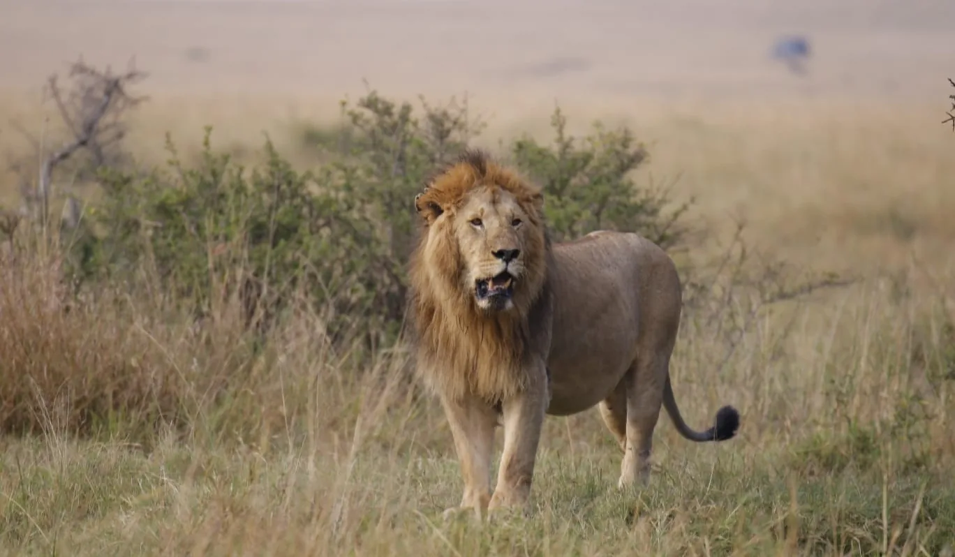 Tanzania