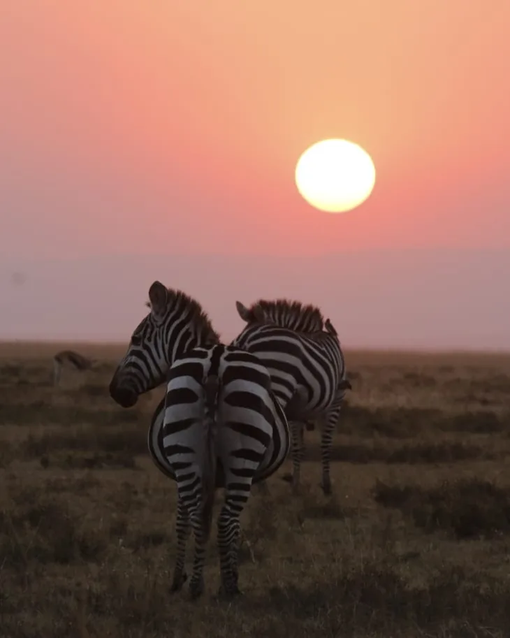 Ngorongoro Crater