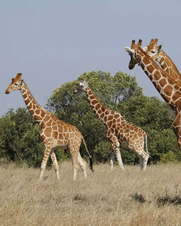 Best of Tanzania