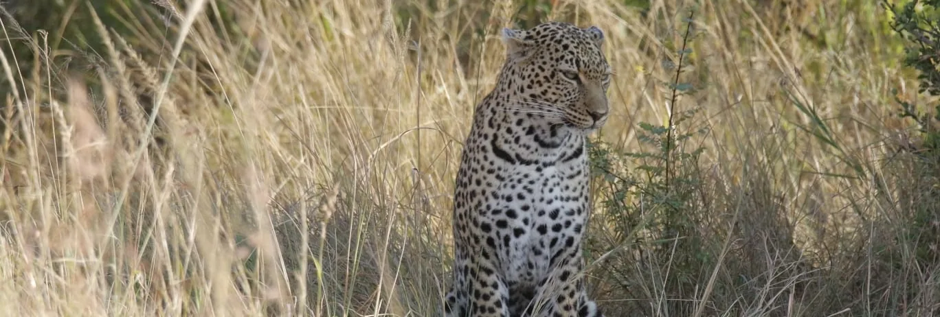 Big Five Safari — Kenya & Tanzania