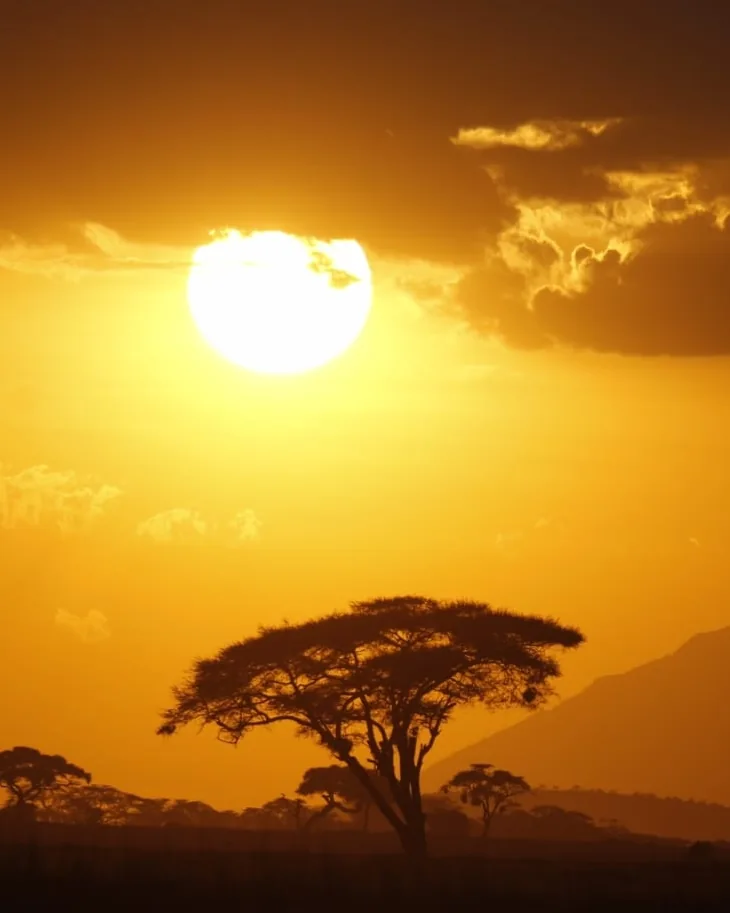 Highlights of Kenya
