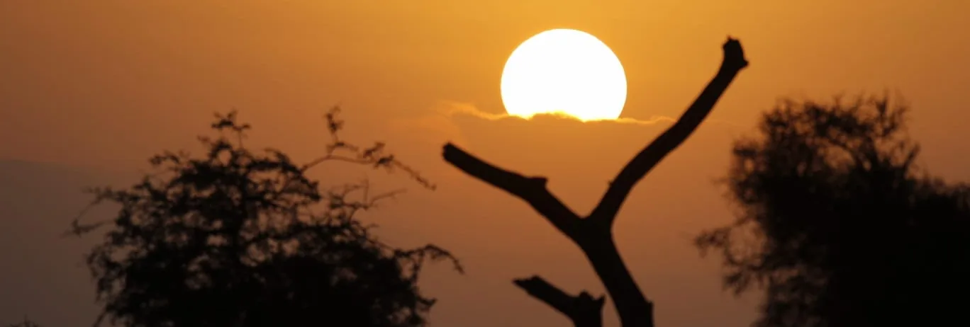 Highlights of Kenya — Kenya