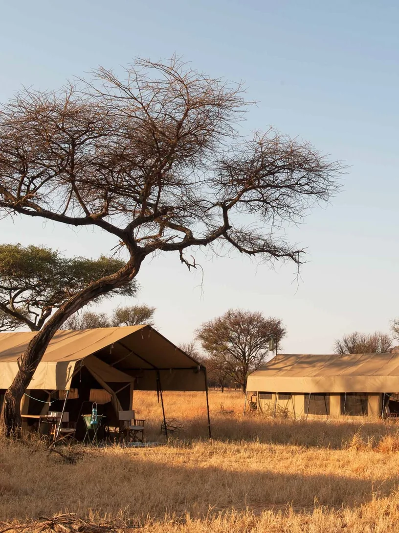 Owner-Run Boutique Lodges